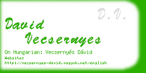 david vecsernyes business card